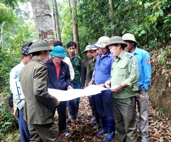 Thành phố Điện Biên Phủ với công tác quản lý, bảo vệ và phát triển rừng