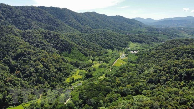Việt Nam đẩy nhanh quá trình cải thiện rừng, sử dụng đất bền vững
