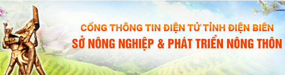 Sở Nông nghiệp PTNN Tỉnh Điện Biên